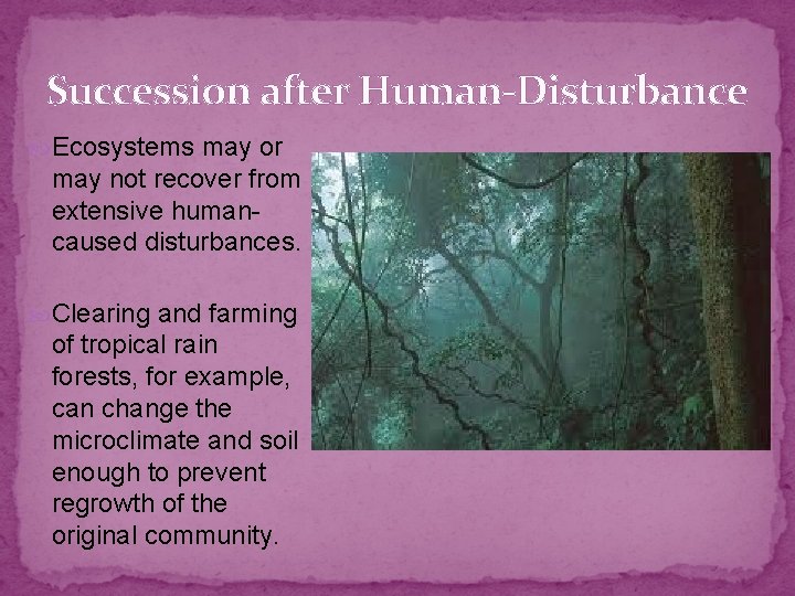 Succession after Human-Disturbance Ecosystems may or may not recover from extensive humancaused disturbances. Clearing