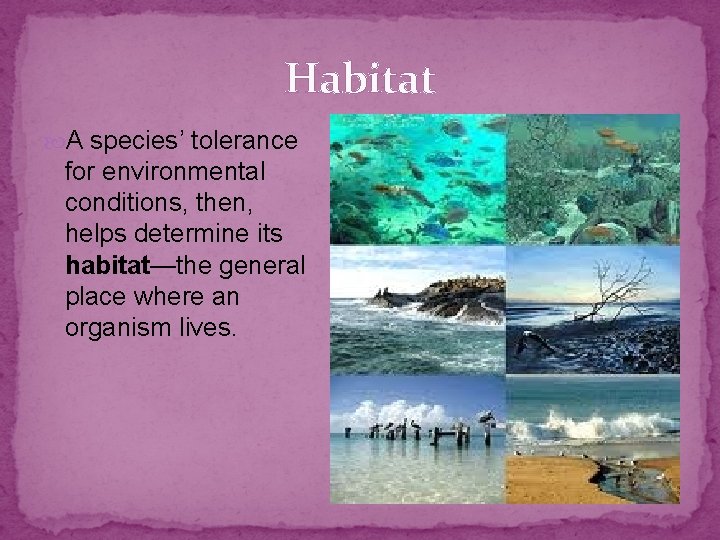 Habitat A species’ tolerance for environmental conditions, then, helps determine its habitat—the general place