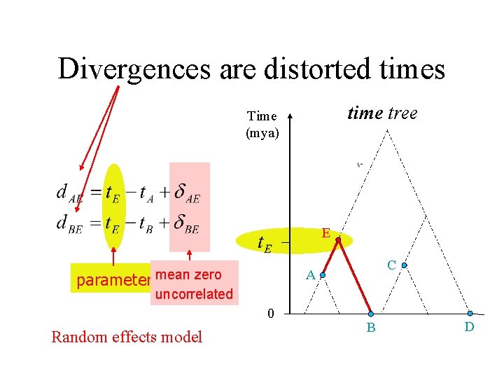 Divergences are distorted times time tree Time (mya) E parameter mean zero uncorrelated 0
