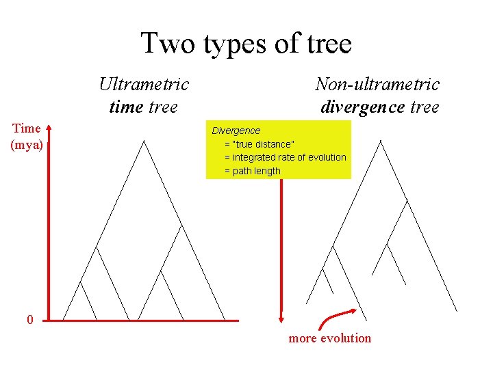 Two types of tree Ultrametric time tree Time (mya) Non-ultrametric divergence tree Divergence =