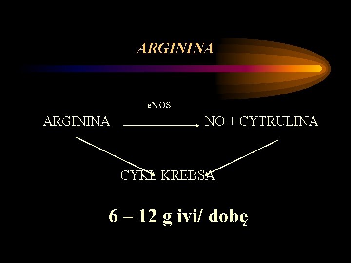 ARGININA e. NOS ARGININA NO + CYTRULINA CYKL KREBSA 6 – 12 g ivi/