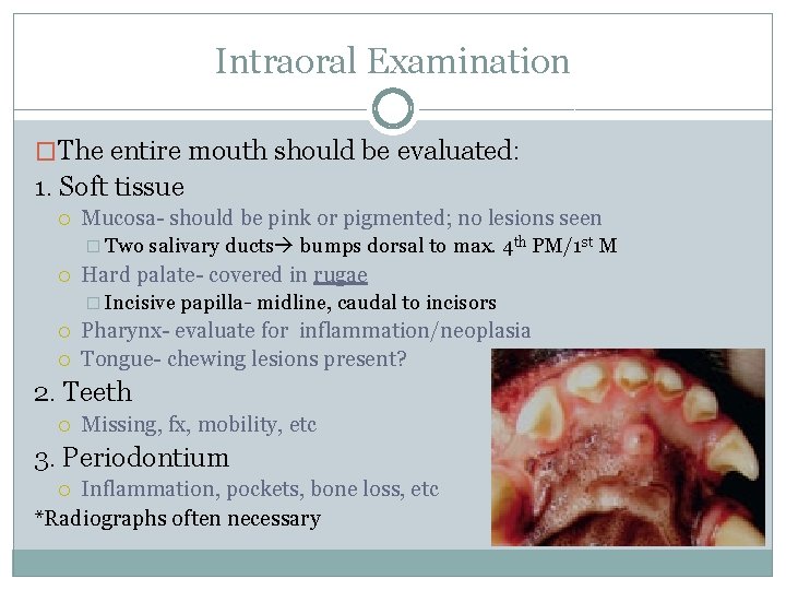 Intraoral Examination �The entire mouth should be evaluated: 1. Soft tissue Mucosa- should be