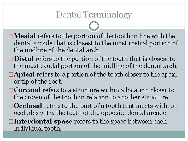 Dental Terminology �Mesial refers to the portion of the tooth in line with the