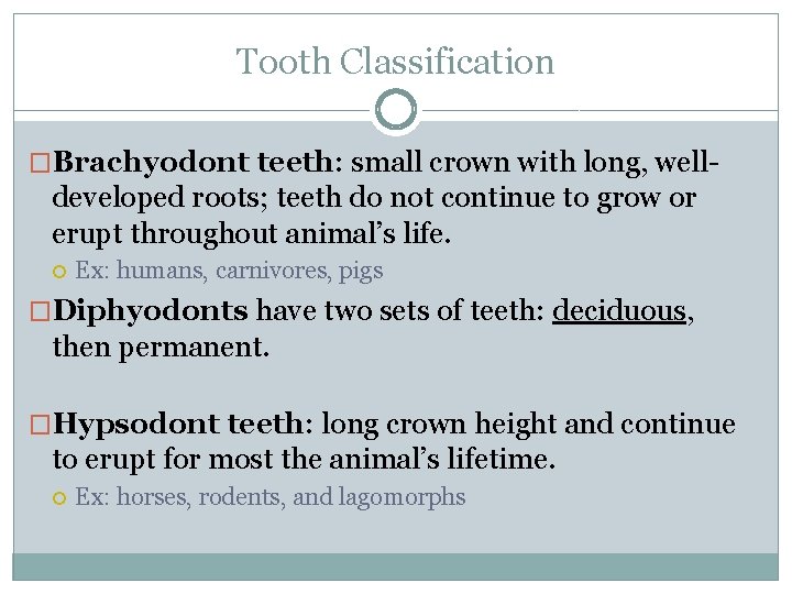 Tooth Classification �Brachyodont teeth: small crown with long, well- developed roots; teeth do not