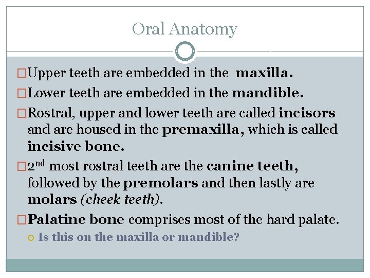 Oral Anatomy �Upper teeth are embedded in the maxilla. �Lower teeth are embedded in