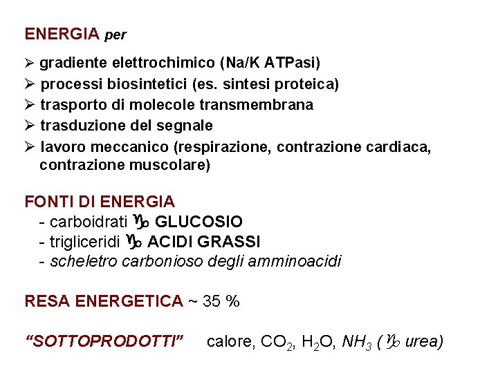 ENERGIA per Ø gradiente elettrochimico (Na/K ATPasi) Ø processi biosintetici (es. sintesi proteica) Ø