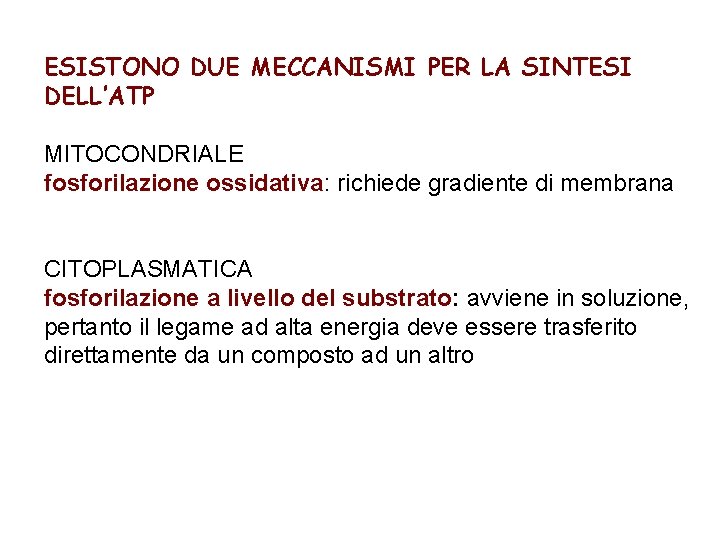 ESISTONO DUE MECCANISMI PER LA SINTESI DELL’ATP MITOCONDRIALE fosforilazione ossidativa: richiede gradiente di membrana