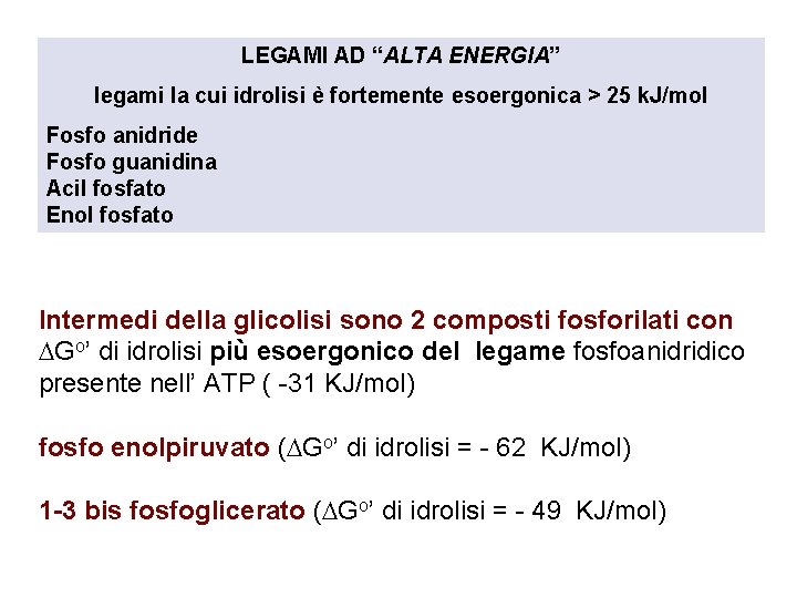 LEGAMI AD “ALTA ENERGIA” legami la cui idrolisi è fortemente esoergonica > 25 k.