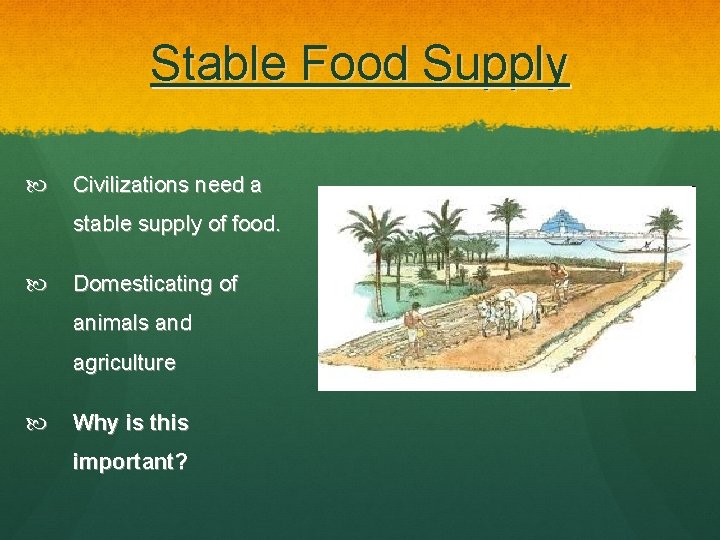 Stable Food Supply Civilizations need a stable supply of food. Domesticating of animals and