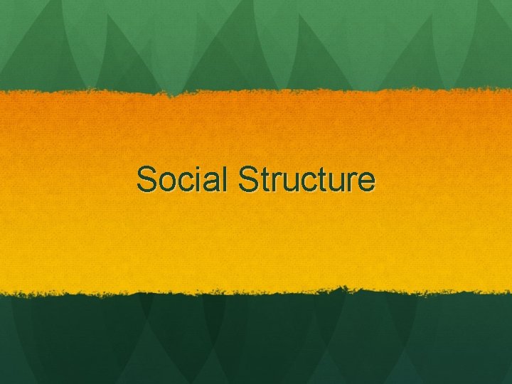 Social Structure 