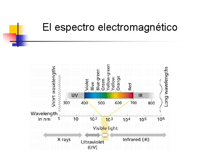 El espectro electromagnético El espectro electromagnético