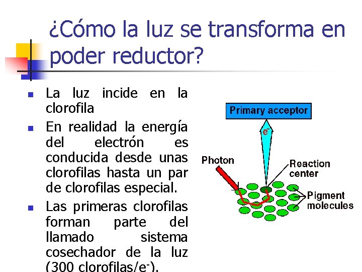 ¿Cómo la luz se transforma en poder reductor? n n n La luz incide ¿Cómo la luz se transforma en poder reductor? n n n La luz incide