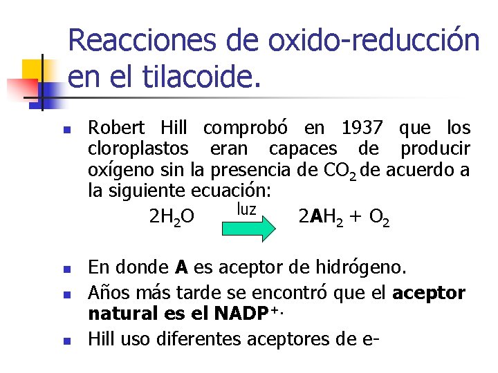 Reacciones de oxido-reducción en el tilacoide. n n Robert Hill comprobó en 1937 que Reacciones de oxido-reducción en el tilacoide. n n Robert Hill comprobó en 1937 que