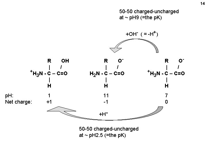 14 50 -50 charged-uncharged at ~ p. H 9 (=the p. K) +OH- ( 14 50 -50 charged-uncharged at ~ p. H 9 (=the p. K) +OH- (