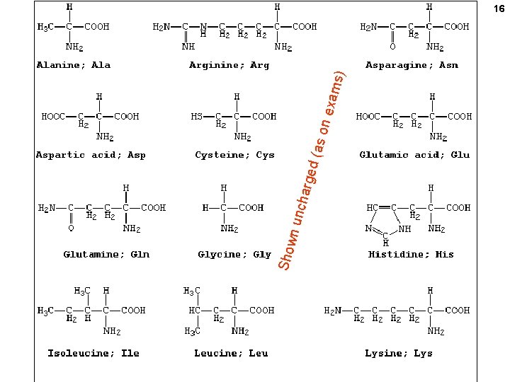 Show ged (a char n un s on exam s) 16 Show ged (a char n un s on exam s) 16