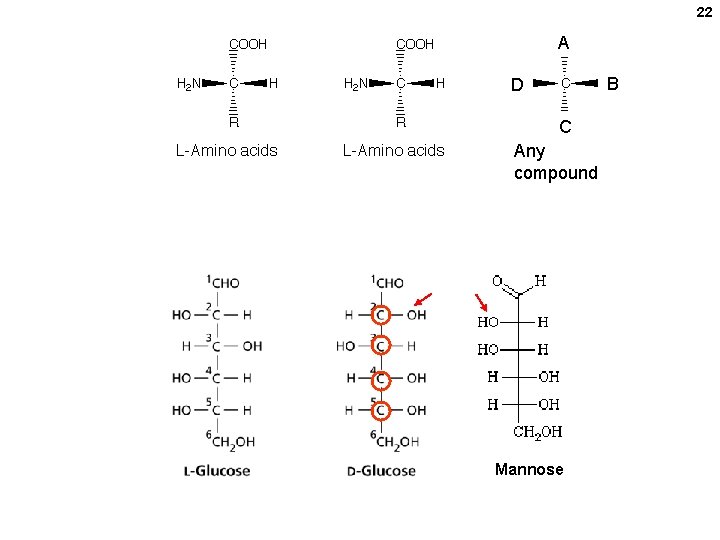 22 A B D C Any compound Mannose 22 A B D C Any compound Mannose
