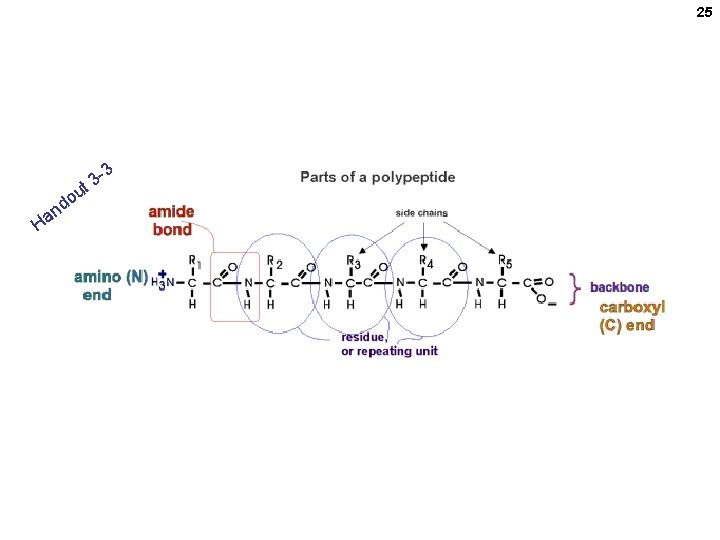 25 3 t 3 u o nd Ha The backbone is monotonous It is 25 3 t 3 u o nd Ha The backbone is monotonous It is