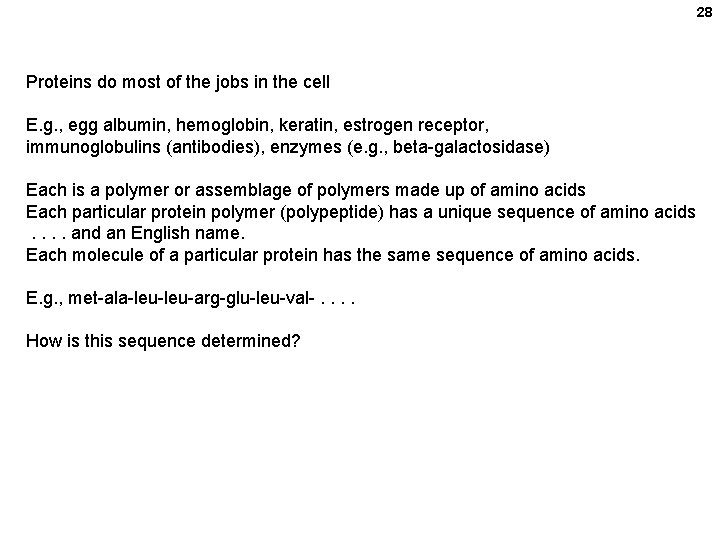 28 Proteins do most of the jobs in the cell E. g. , egg 28 Proteins do most of the jobs in the cell E. g. , egg