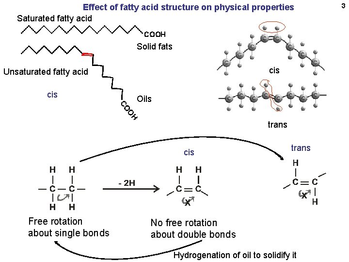 Effect of fatty acid structure on physical properties Saturated fatty acid Solid fats cis Effect of fatty acid structure on physical properties Saturated fatty acid Solid fats cis