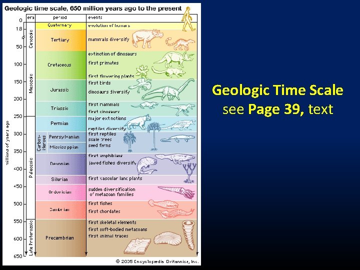 Geologic Time Scale see Page 39, text Precambrian 