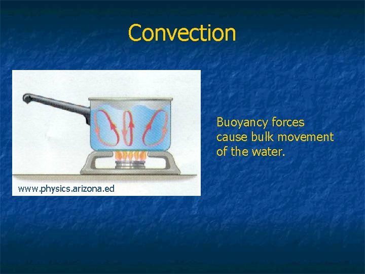 Convection Buoyancy forces cause bulk movement of the water. www. physics. arizona. ed 