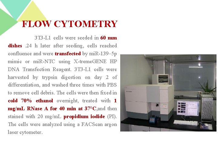 FLOW CYTOMETRY 3 T 3 -L 1 cells were seeded in 60 mm dishes.