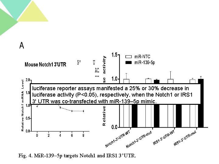 luciferase reporter assays manifested a 25% or 30% decrease in luciferase activity (P<0. 05),