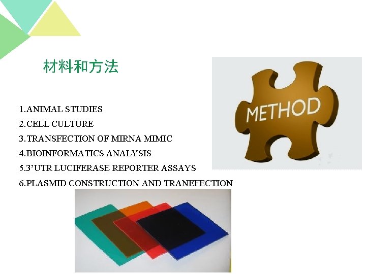 材料和方法 1. ANIMAL STUDIES 2. CELL CULTURE 3. TRANSFECTION OF MIRNA MIMIC 4. BIOINFORMATICS