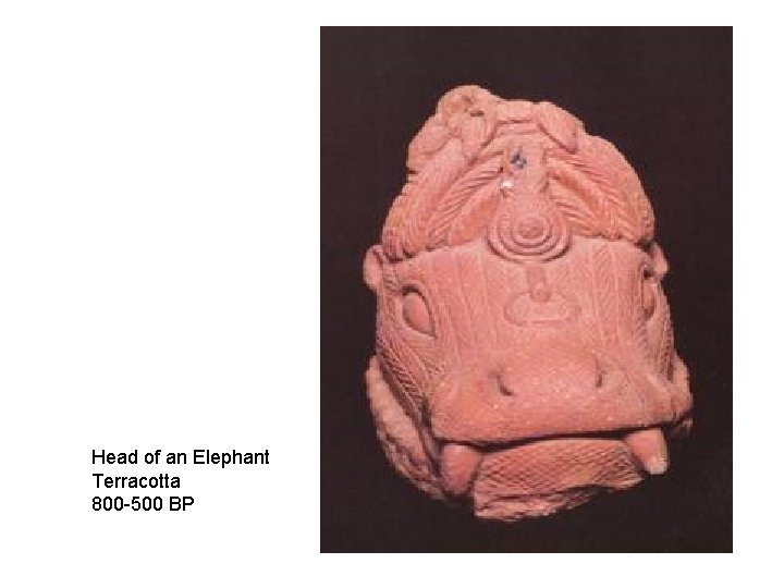 Head of an Elephant Terracotta 800 -500 BP 