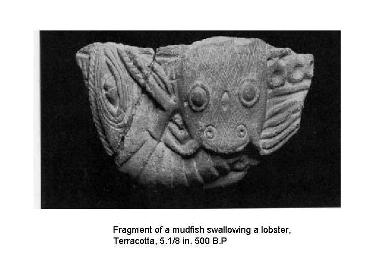 Fragment of a mudfish swallowing a lobster, Terracotta, 5. 1/8 in. 500 B. P
