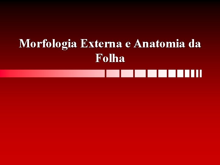 Morfologia Externa e Anatomia da Folha 