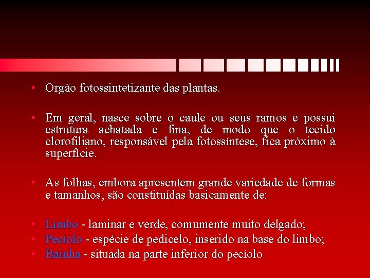  • Orgão fotossintetizante das plantas. • Em geral, nasce sobre o caule ou