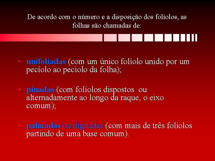 De acordo com o número e a disposição dos folíolos, as folhas são chamadas