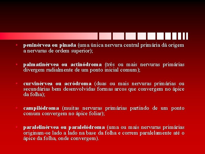  • peninérvea ou pinada (uma única nervura central primária dá origem a nervuras