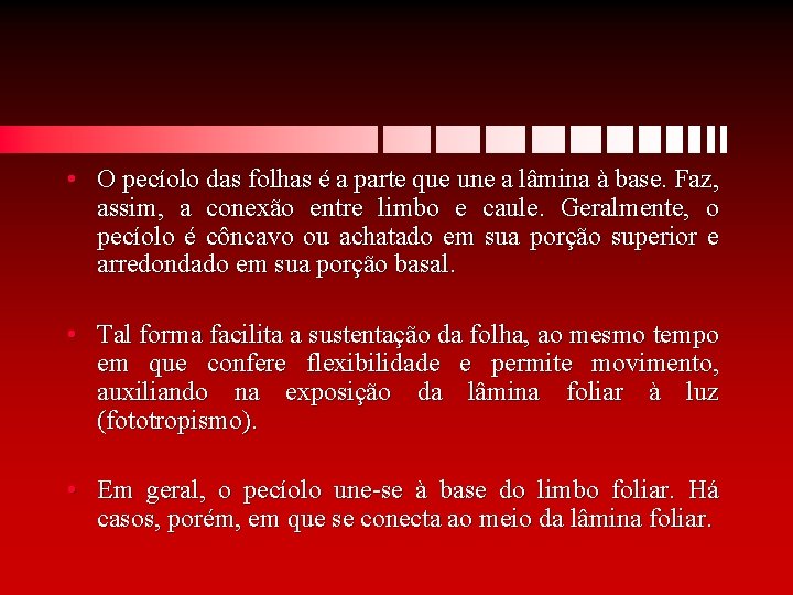  • O pecíolo das folhas é a parte que une a lâmina à