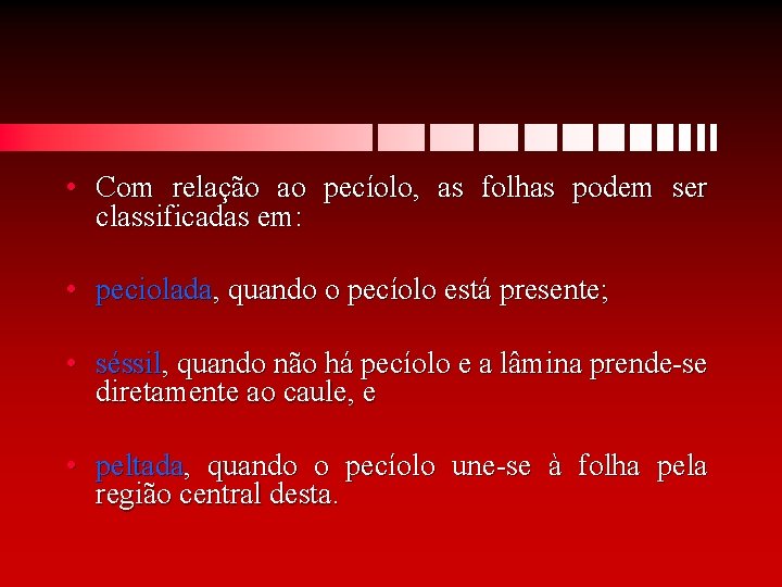  • Com relação ao pecíolo, as folhas podem ser classificadas em: • peciolada,