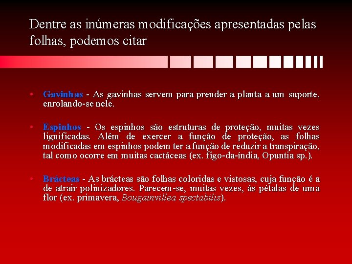 Dentre as inúmeras modificações apresentadas pelas folhas, podemos citar • Gavinhas - As gavinhas