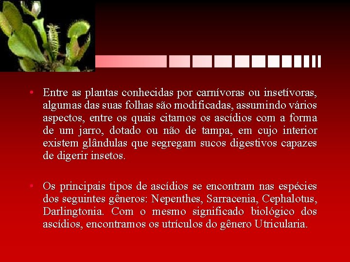  • Entre as plantas conhecidas por carnívoras ou insetívoras, algumas das suas folhas