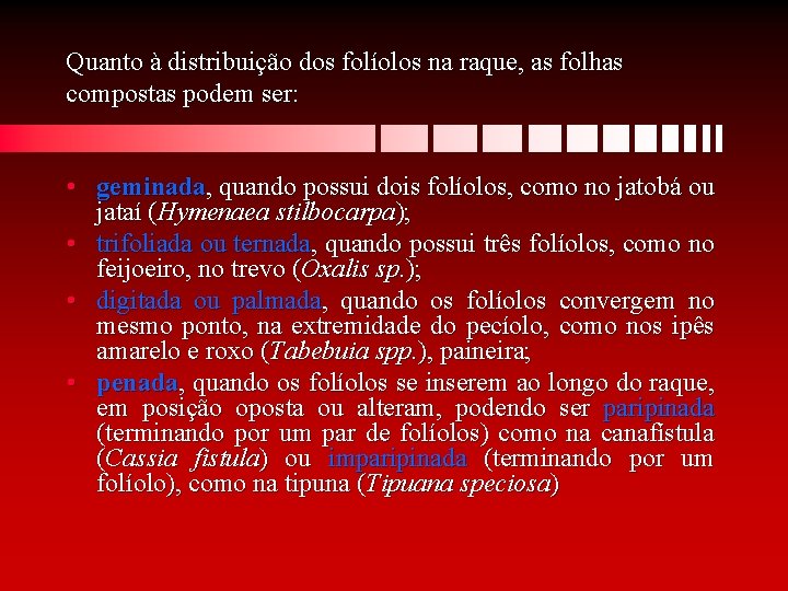 Quanto à distribuição dos folíolos na raque, as folhas compostas podem ser: • geminada,