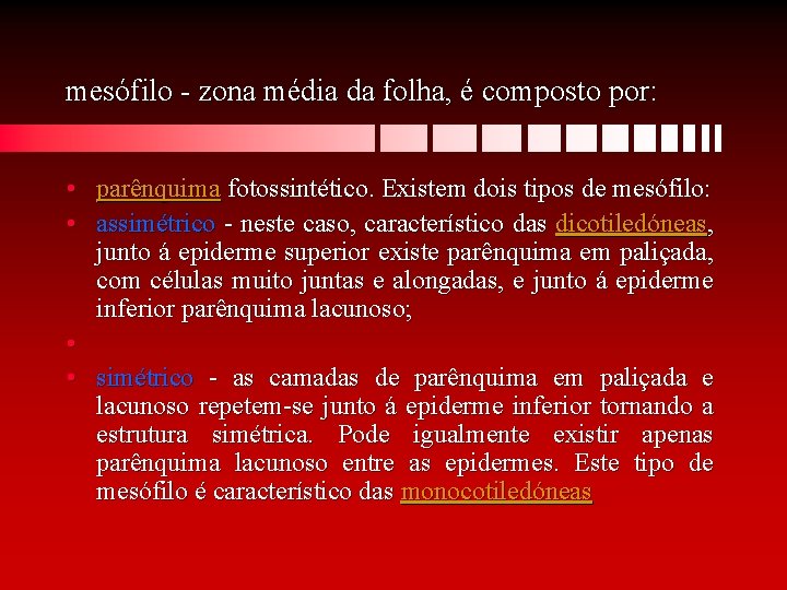 mesófilo - zona média da folha, é composto por: • parênquima fotossintético. Existem dois