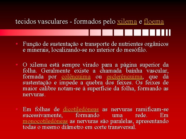 tecidos vasculares - formados pelo xilema e floema • Função de sustentação e transporte