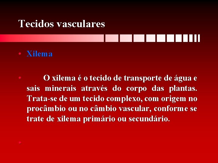 Tecidos vasculares • Xilema • O xilema é o tecido de transporte de água