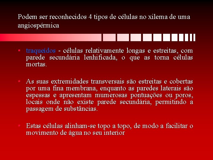 Podem ser reconhecidos 4 tipos de células no xilema de uma angiospérmica • traqueídos