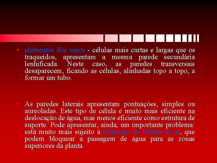  • elementos dos vasos - células mais curtas e largas que os traqueídos,