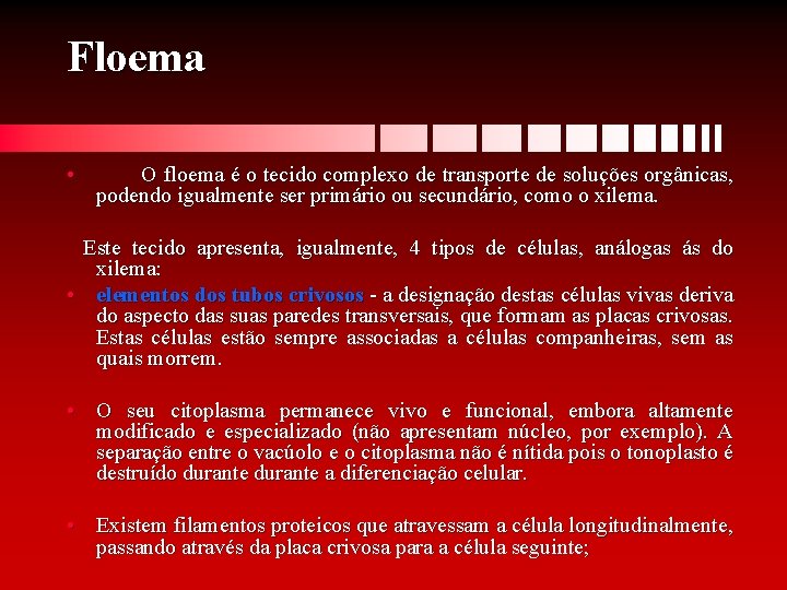 Floema • O floema é o tecido complexo de transporte de soluções orgânicas, podendo