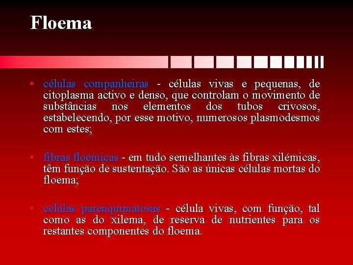 Floema • células companheiras - células vivas e pequenas, de citoplasma activo e denso,