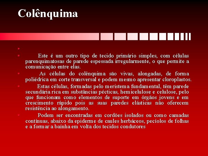 Colênquima • • Este é um outro tipo de tecido primário simples, com células