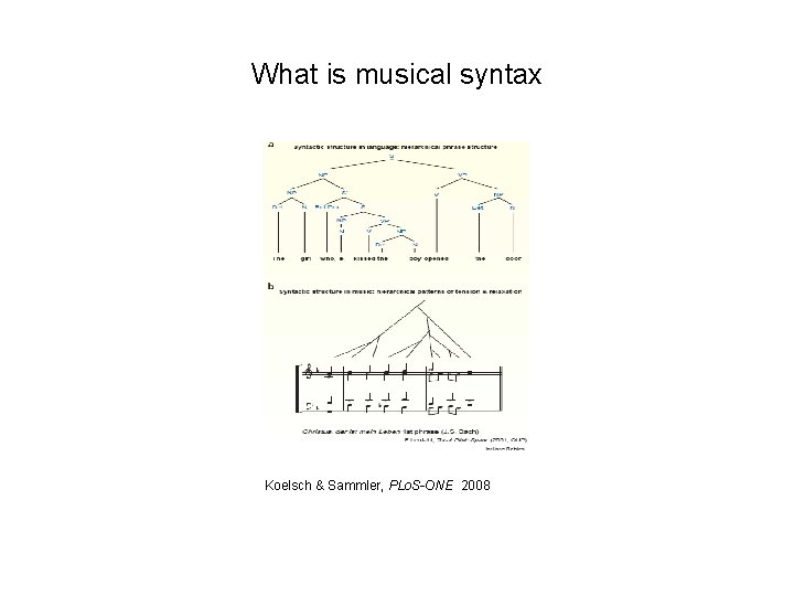 What is musical syntax Koelsch & Sammler, PLo. S-ONE 2008 