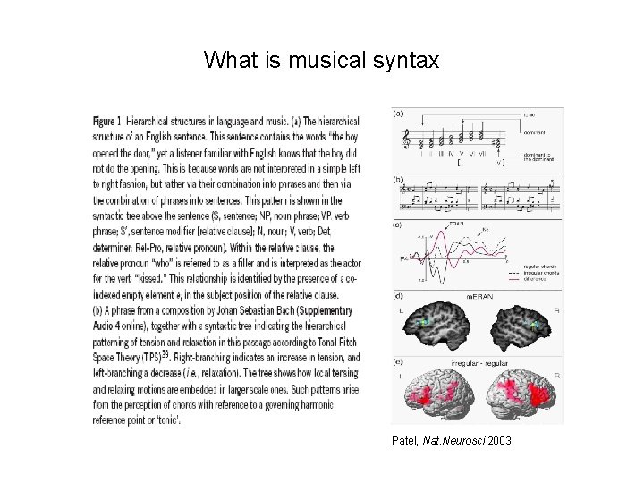 What is musical syntax Patel, Nat. Neurosci 2003 