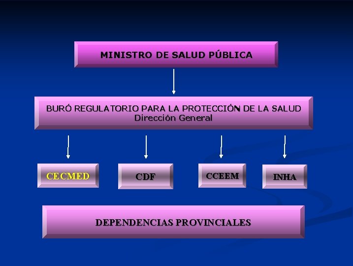 MINISTRO DE SALUD PÚBLICA BURÓ REGULATORIO PARA LA PROTECCIÓN DE LA SALUD Dirección General